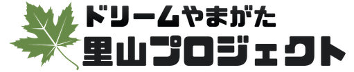 logo_512